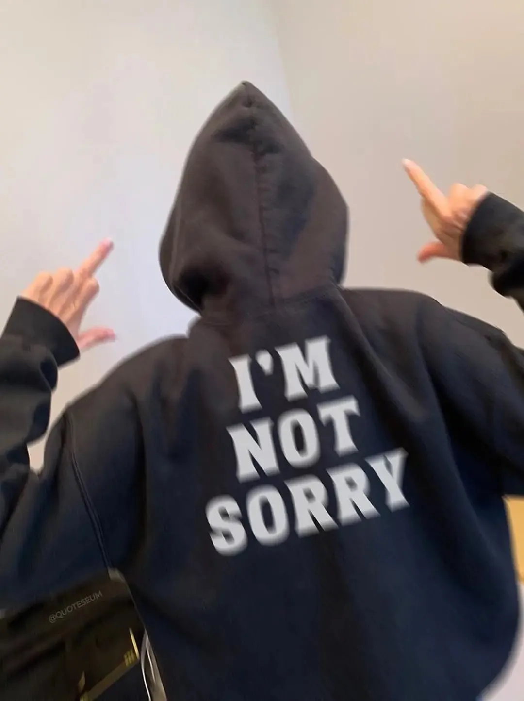 SXV  'i'm not sorry’ Printed Cool Aesthetic Sweatshirt Hoodie